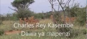 One of Orchestra Les Volcano's most popular songs in Kiswahili-speaking East Africa is Hakuna Dawa ya Mapenzi Duniani (There is nothing like Love potions in the world).The song, written by Charles Ray Kasembe, repeatedly stresses that Mapenzi ya madawa siyo mapenzi tena'.