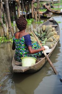 Selling pineapples in Ganvie, the world's only town on stilts.