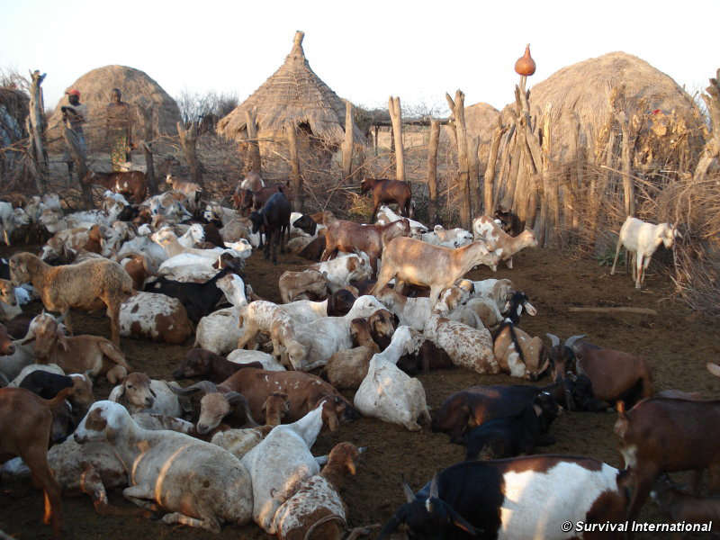 omo valley pastoralists