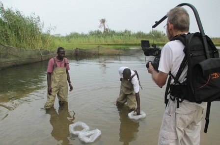 quest for health shoot