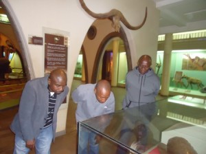 nairobi national museum's treasures