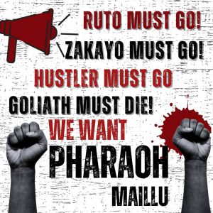 David G Maillu says his aim is to build Kenya into a great house and home that accommodates everyone.