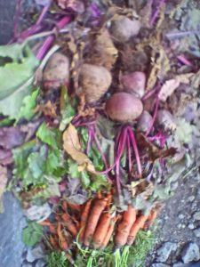 Carrot and beetroot vegetables