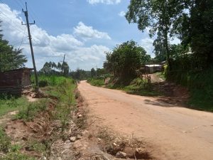Green, well-designed homes provide necessary therapeutic, calming spaces that enhance mental health and reduce anxiety and stress caused by urban congestion, noise and fast-paced life 