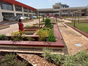 Environmental enrichment refers to deliberately modifying the environment to enhance physical, cognitive and social well-being of humans