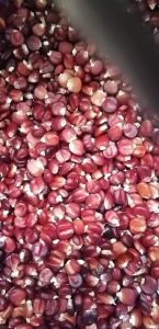 Maize is the most vital agricultural and dietary crop in Kenya 