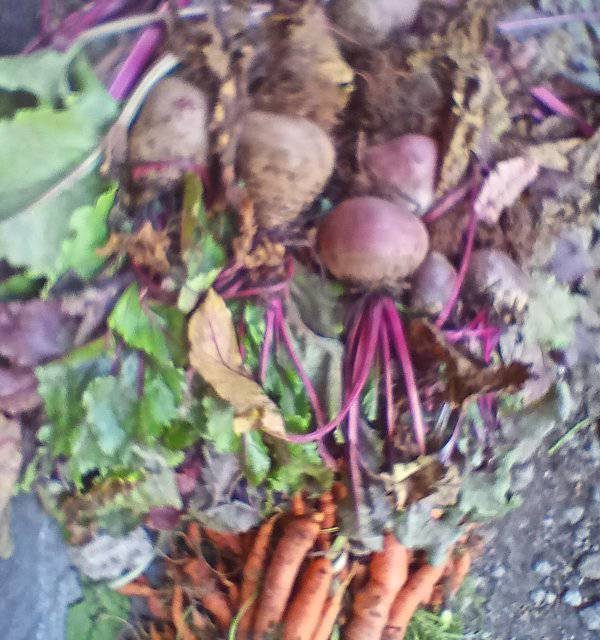 How Urbanisation is Exacerbating Malnutrition in Kenya
