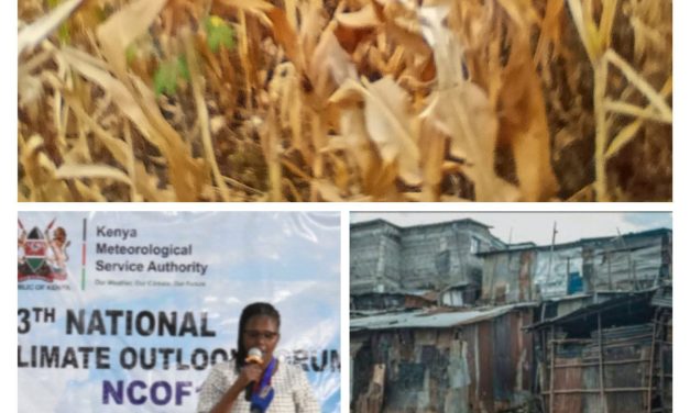 How to prepare for the predicted October – December 2026 heavy rains in Kenya