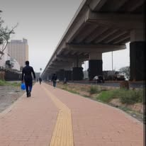 Replacing soil with concrete prevents rainwater from being absorbed into the ground. This overloads the city's drainage systems and leads to severe floods during rainy seasons.