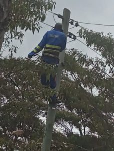 alling tree branches or trees damage roofs, overhead power lines and motor vehicles or injure people