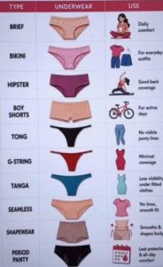 women's underwear type and use